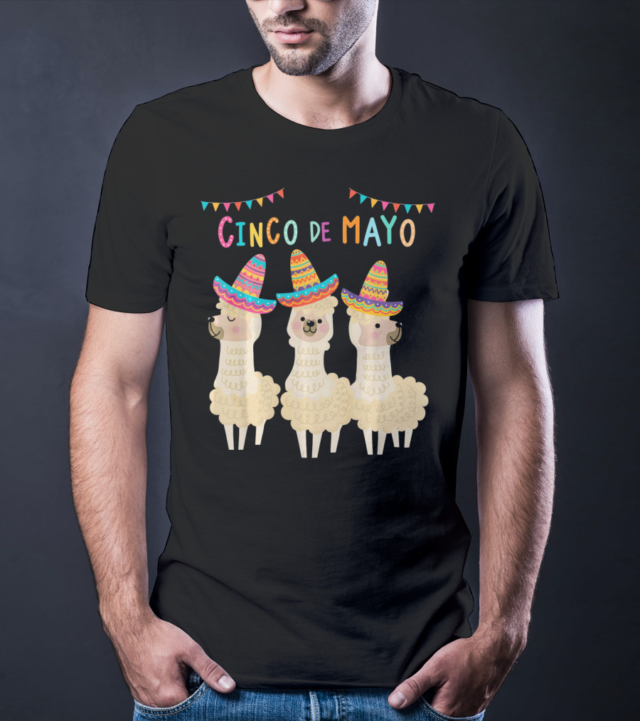 No ProbLlama Cinco De Mayo Llamas In Sombreros T-Shirt