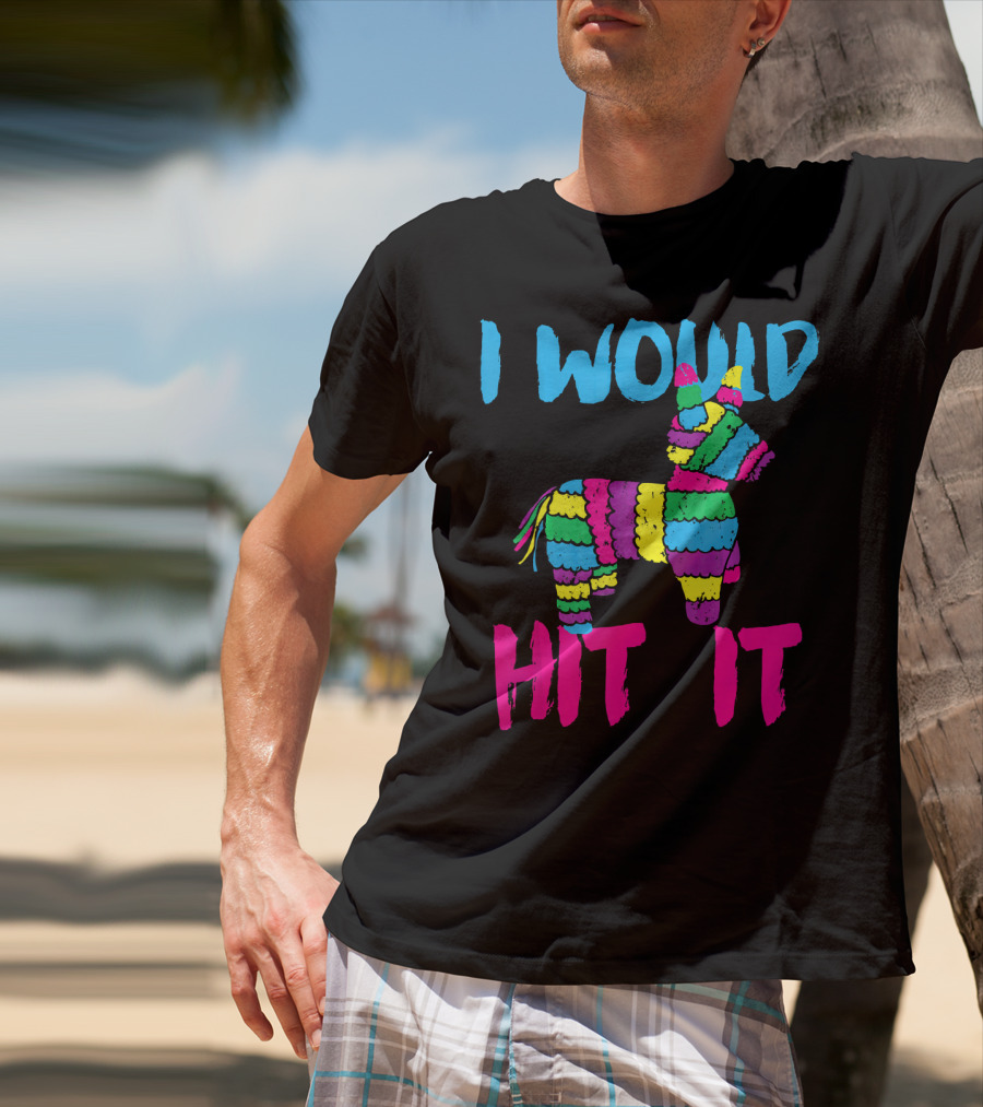 I Would Hit It Colorful Cinco De Mayo Piñata T-Shirt