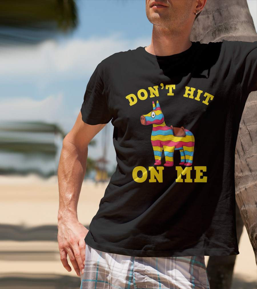 Don't Hit On Me Mexican Fiesta Cinco De Mayo T-Shirt
