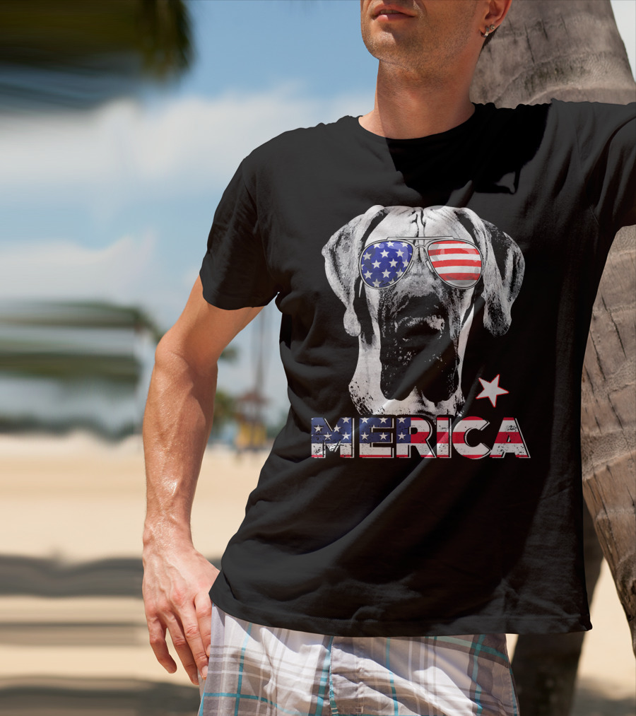 Great Dane 'Merica American Flag Sunglass Star T-Shirt