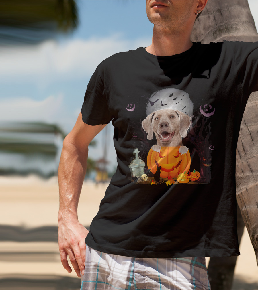 Weimaraner Dog In Halloween Pumpkin With Bats And Black Cat T-Shirt