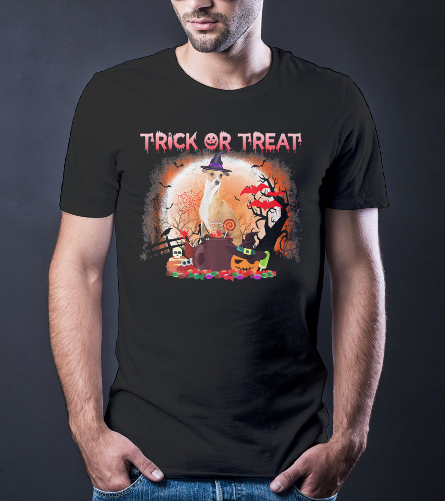 Trick Or Treat Italian Greyhound Halloween Magic Moonlit Scene T-Shirt