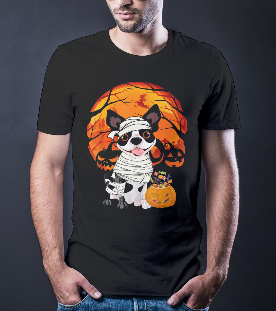 Halloween Kids Boston Terrier Mummy With Pumpkin And Witch T-Shirt