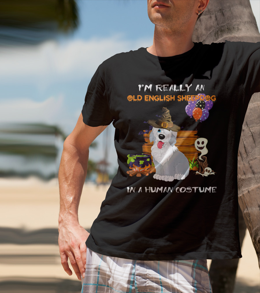 I'm Really An Old English Sheepdog In A Human Costume T-Shirt