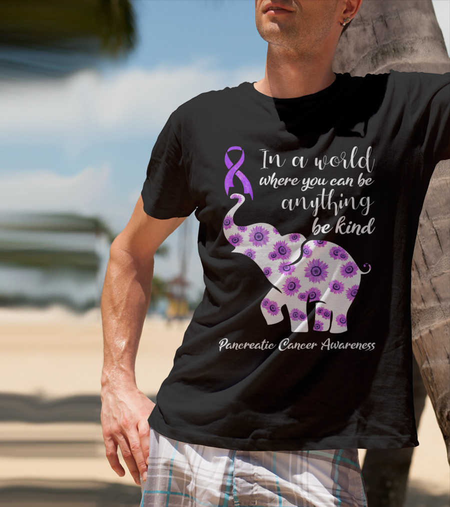 In A World Where You Can Be Anything Be Kind Pancreatic Cancer Awareness T-Shirt