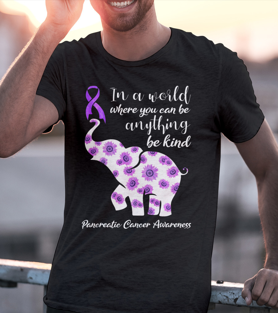 In A World Where You Can Be Anything Be Kind Pancreatic Cancer Awareness T-Shirt