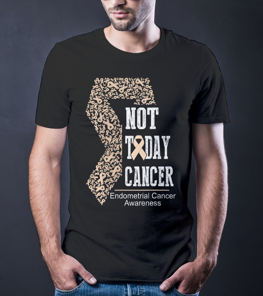 Not Today Cancer Endometrial Cancer Awareness T-Shirt