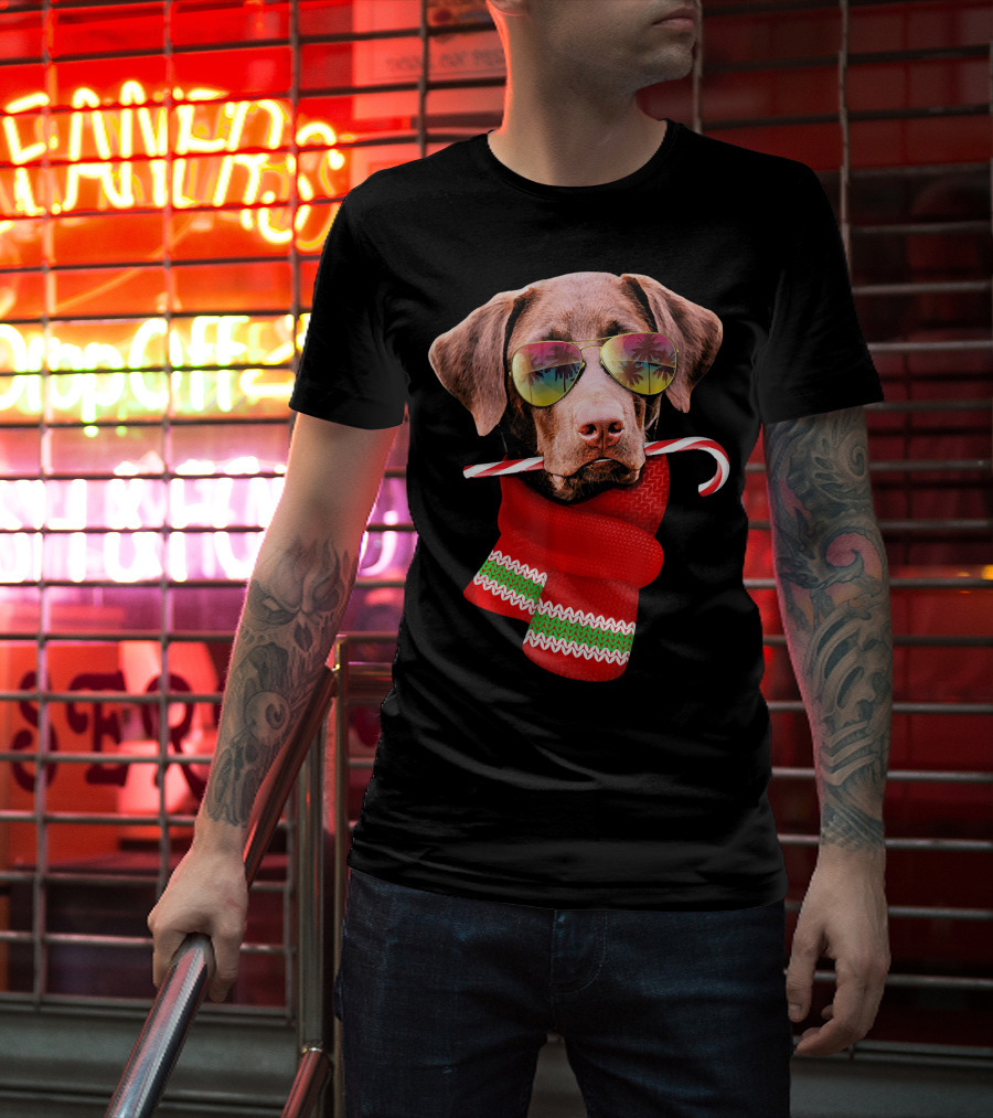 Christmas In July Labrador Sunglasses Candy Cane Scarf T-Shirt
