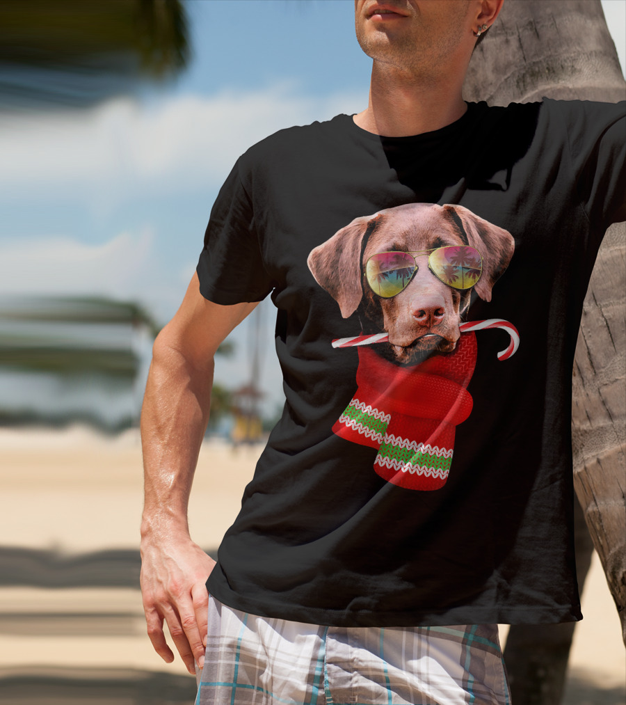 Christmas In July Labrador Sunglasses Candy Cane Scarf T-Shirt