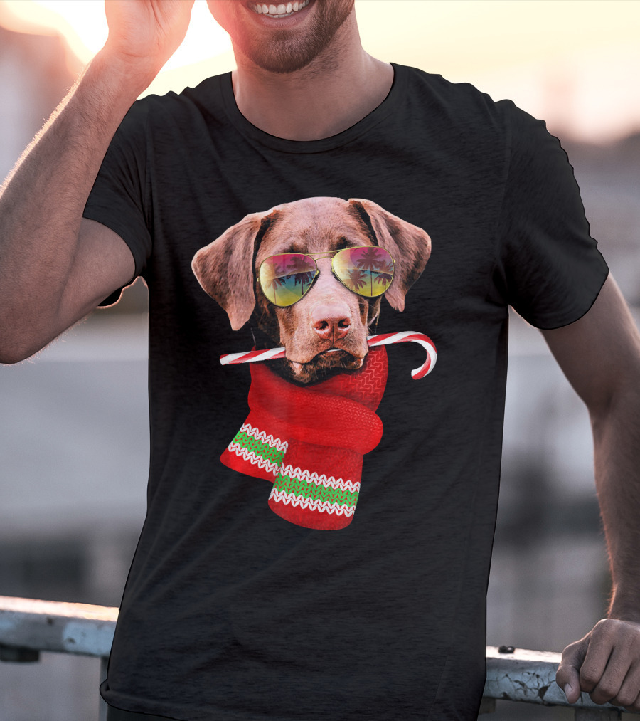 Christmas In July Labrador Sunglasses Candy Cane Scarf T-Shirt