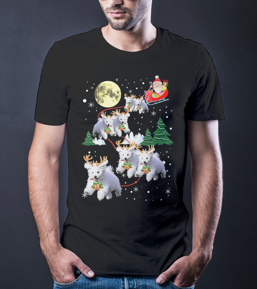 Funny Maltese Christmas Santa Claus Sleigh Reindeer Dogs Pajama T-Shirt