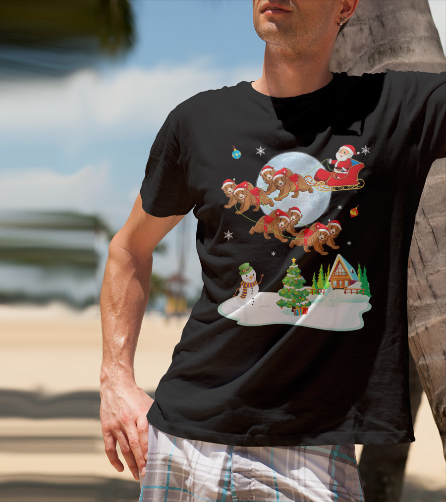 Santa Claus Sleigh With Bears And Snowman By Moonlit Cabin Noel T-Shirt