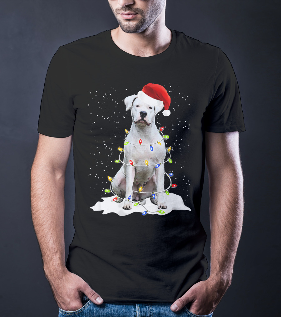 Dogo Argentino Christmas Lights Santa Hat Snow Holiday T-Shirt