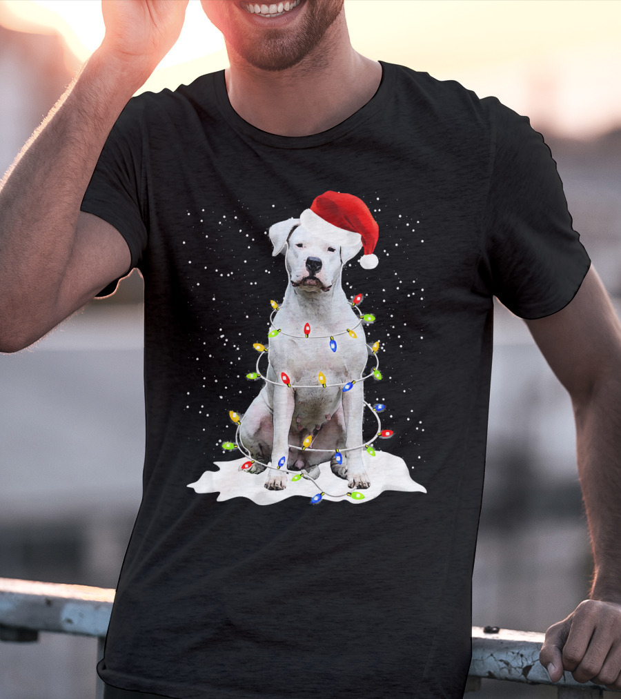 Dogo Argentino Christmas Lights Santa Hat Snow Holiday T-Shirt