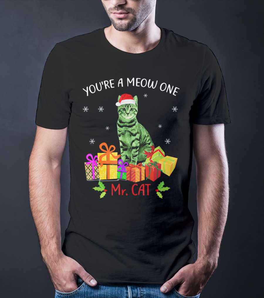 You're A Meow One Mr. Cat Christmas Holiday With Presents And Santa Hat T-Shirt
