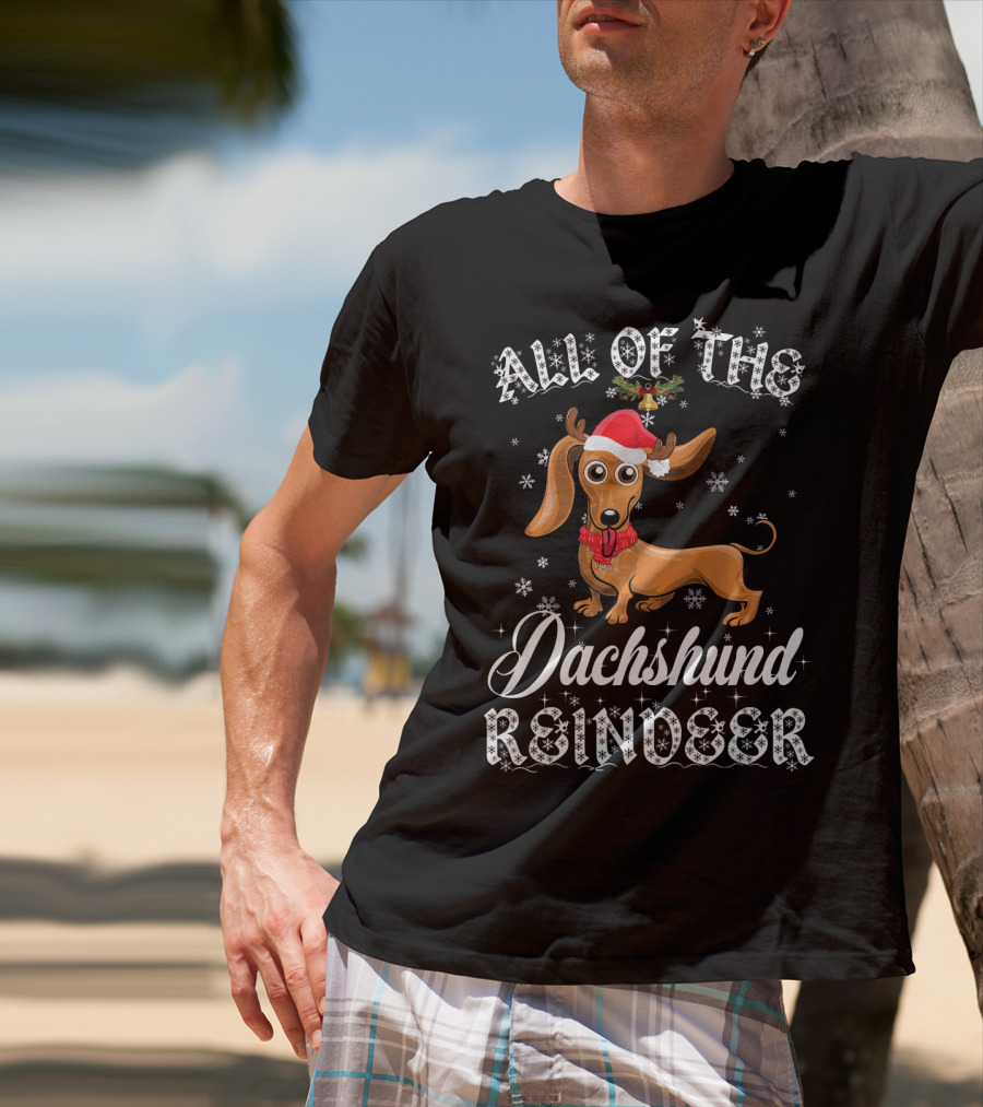 All Of The Dachshund Reindeer Santa Hat Snowflakes T-Shirt