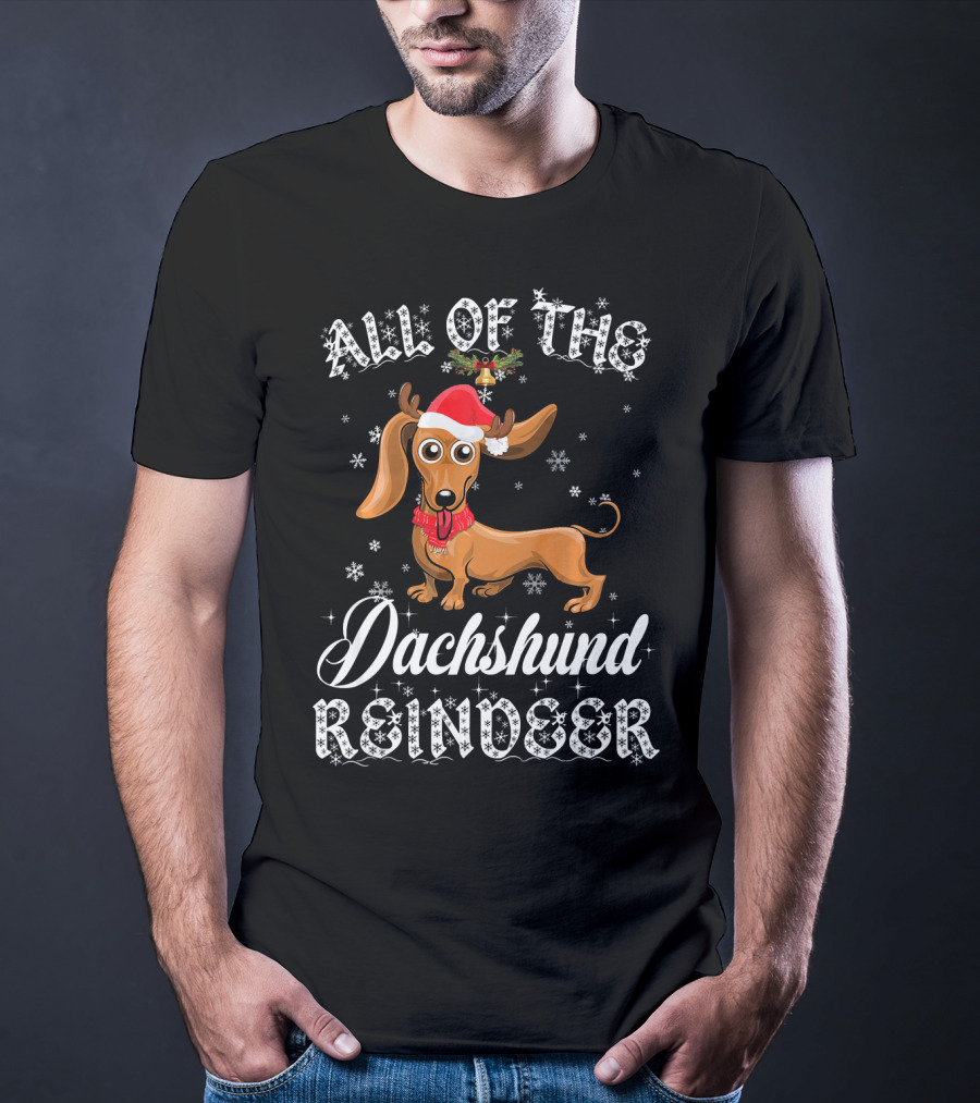 All Of The Dachshund Reindeer Santa Hat Snowflakes T-Shirt