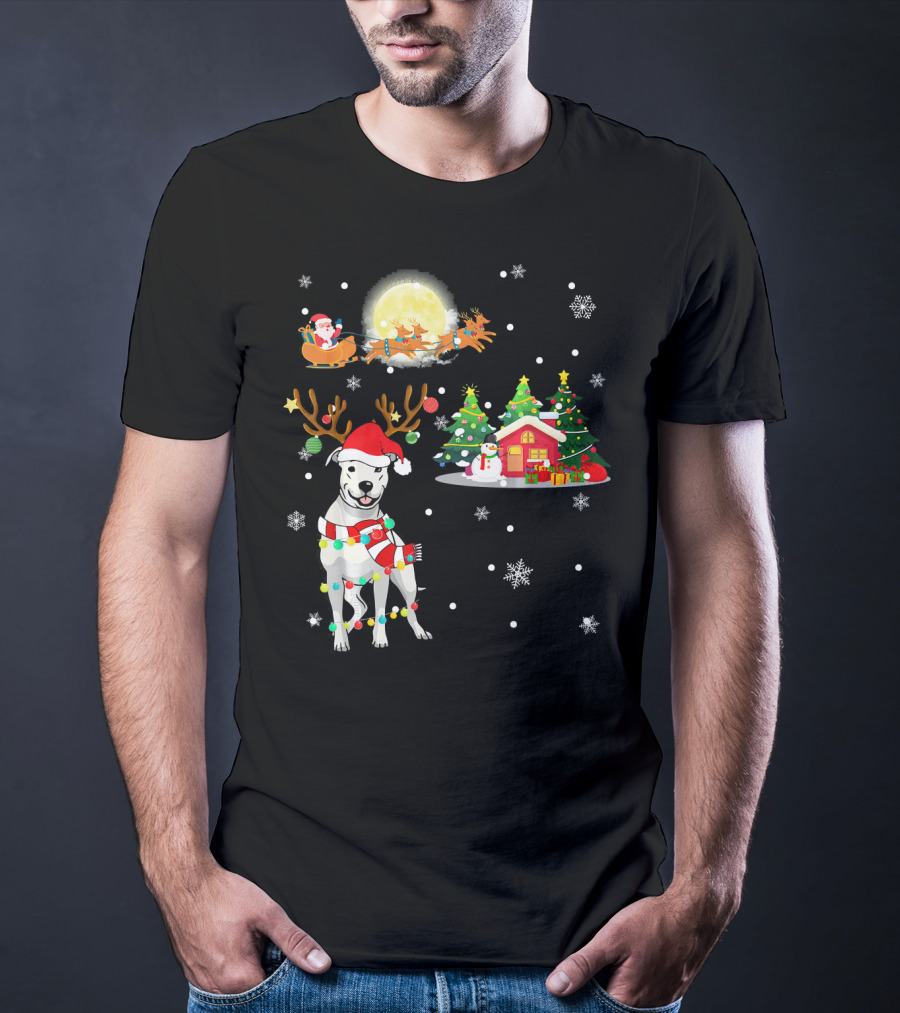 Santa's Sleigh And Festive Dogo Argentino Christmas Wonderland T-Shirt