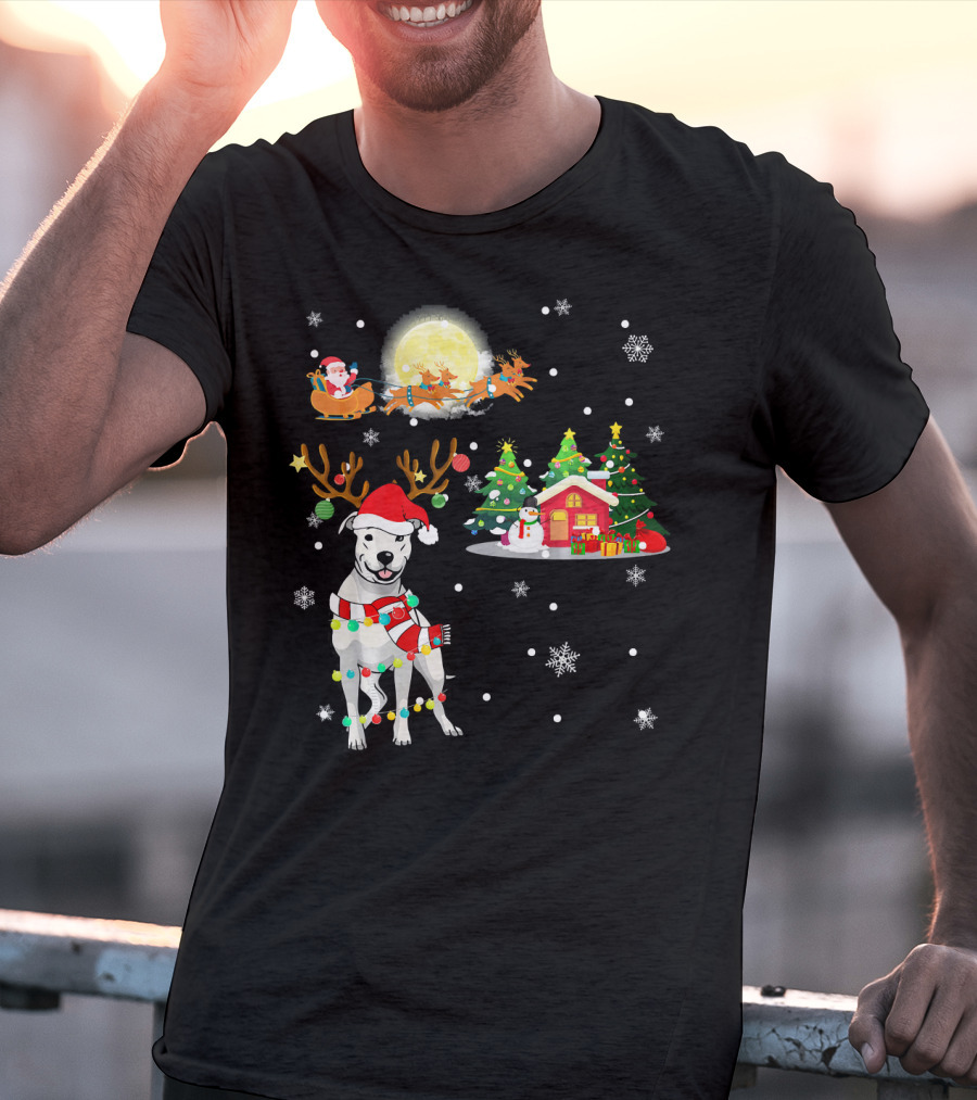 Santa's Sleigh And Festive Dogo Argentino Christmas Wonderland T-Shirt