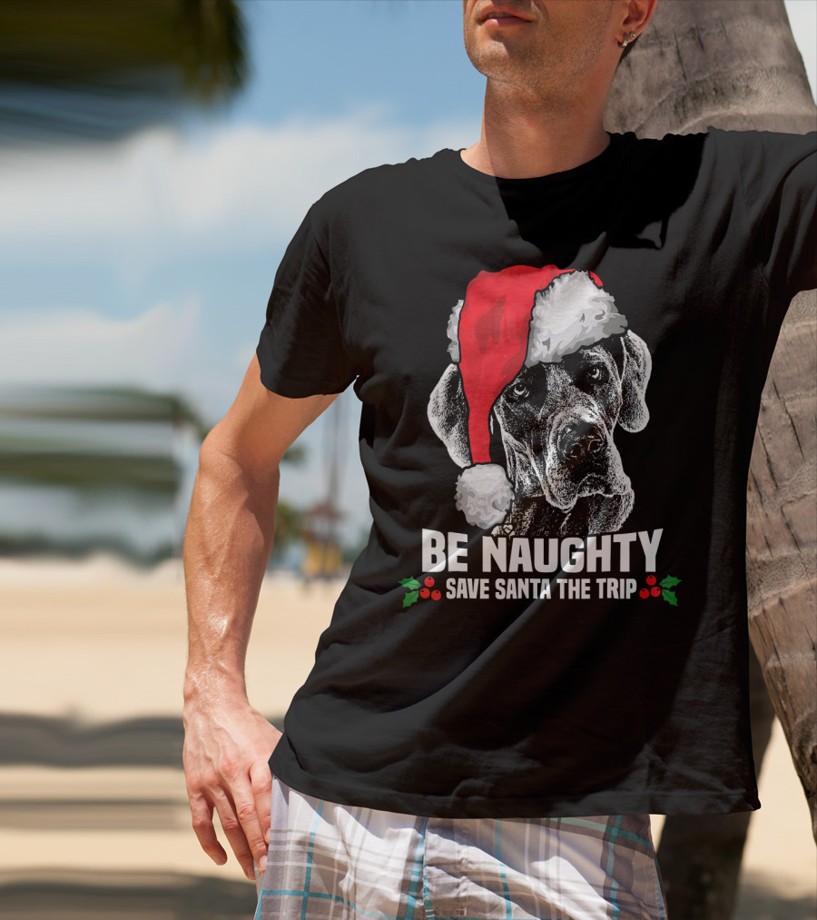 Be Naughty Save Santa The Trip Great Dane Santa Hat T-Shirt