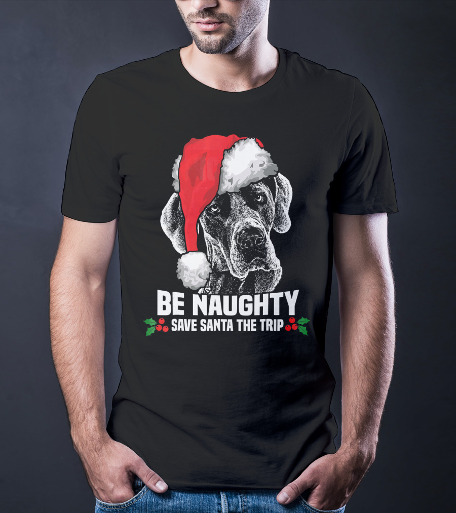 Be Naughty Save Santa The Trip Great Dane Santa Hat T-Shirt