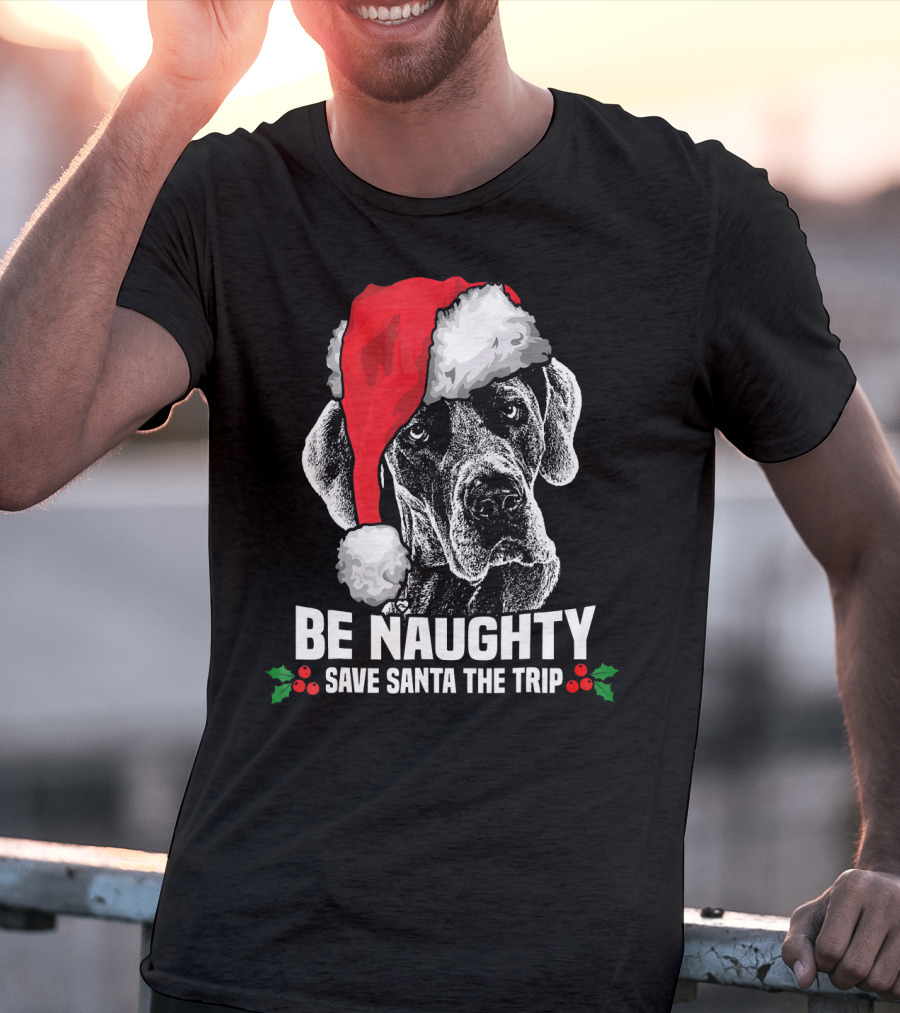 Be Naughty Save Santa The Trip Great Dane Santa Hat T-Shirt