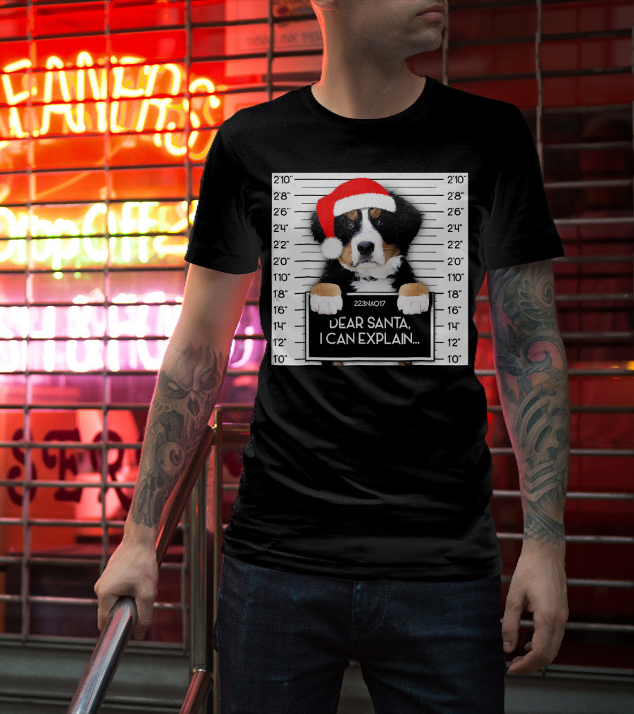 Xmas Bernese Mountain Dog Lover Santa Hat Dear Santa I Can Explain T-Shirt