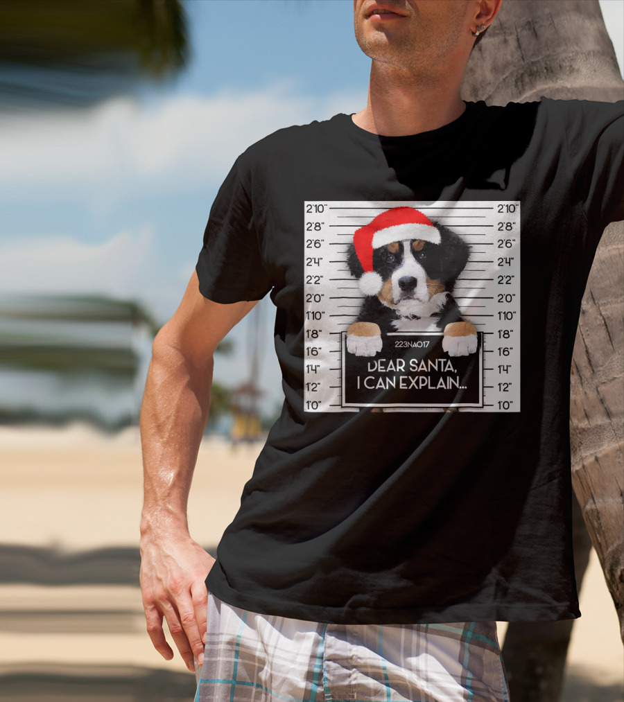 Xmas Bernese Mountain Dog Lover Santa Hat Dear Santa I Can Explain T-Shirt