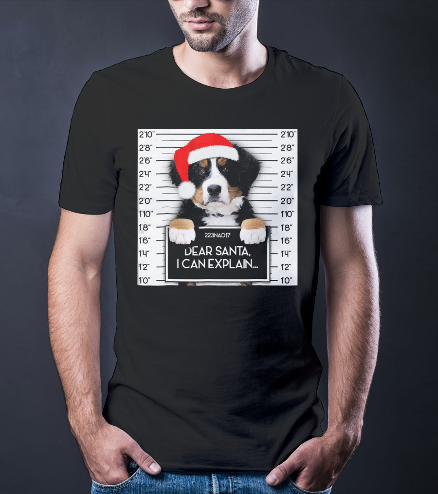 Xmas Bernese Mountain Dog Lover Santa Hat Dear Santa I Can Explain T-Shirt