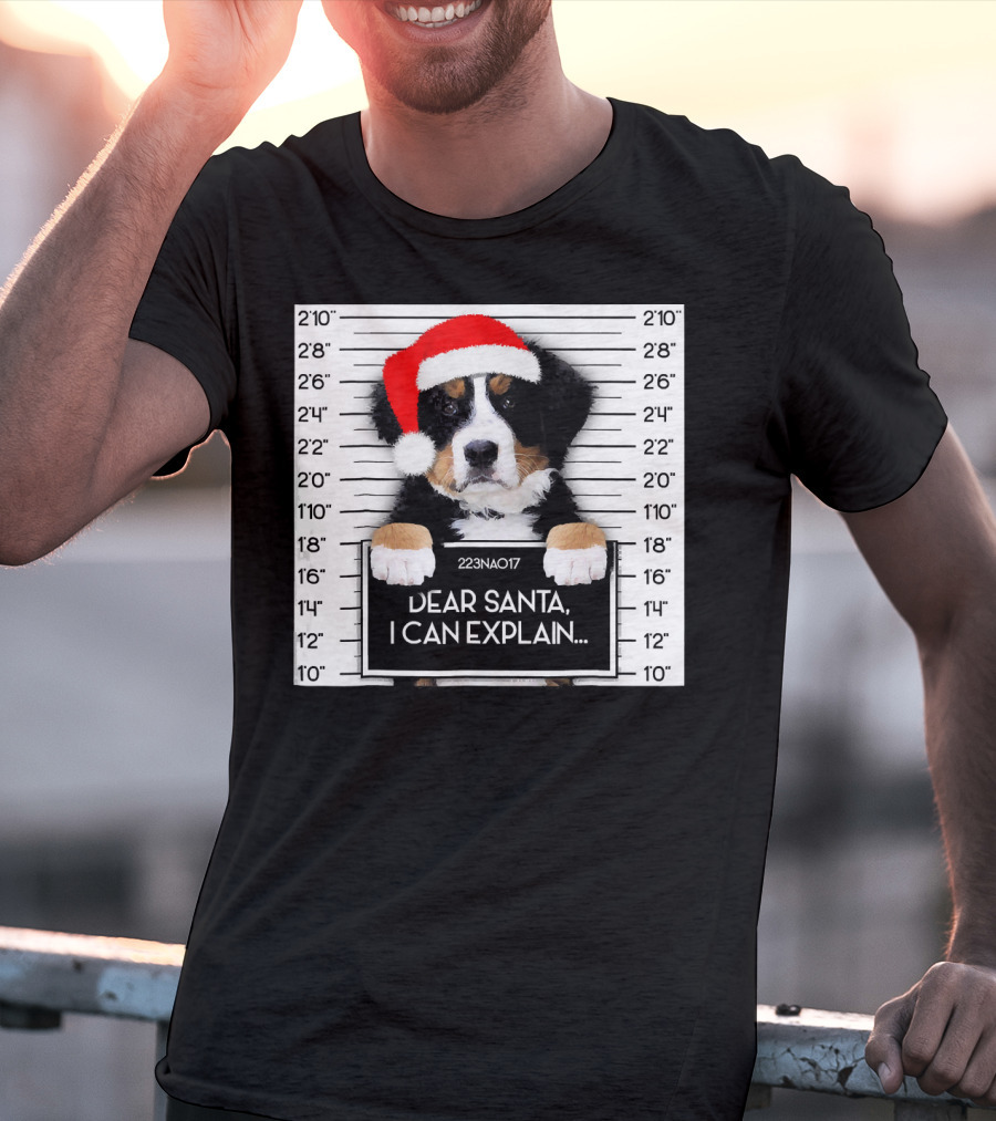 Xmas Bernese Mountain Dog Lover Santa Hat Dear Santa I Can Explain T-Shirt
