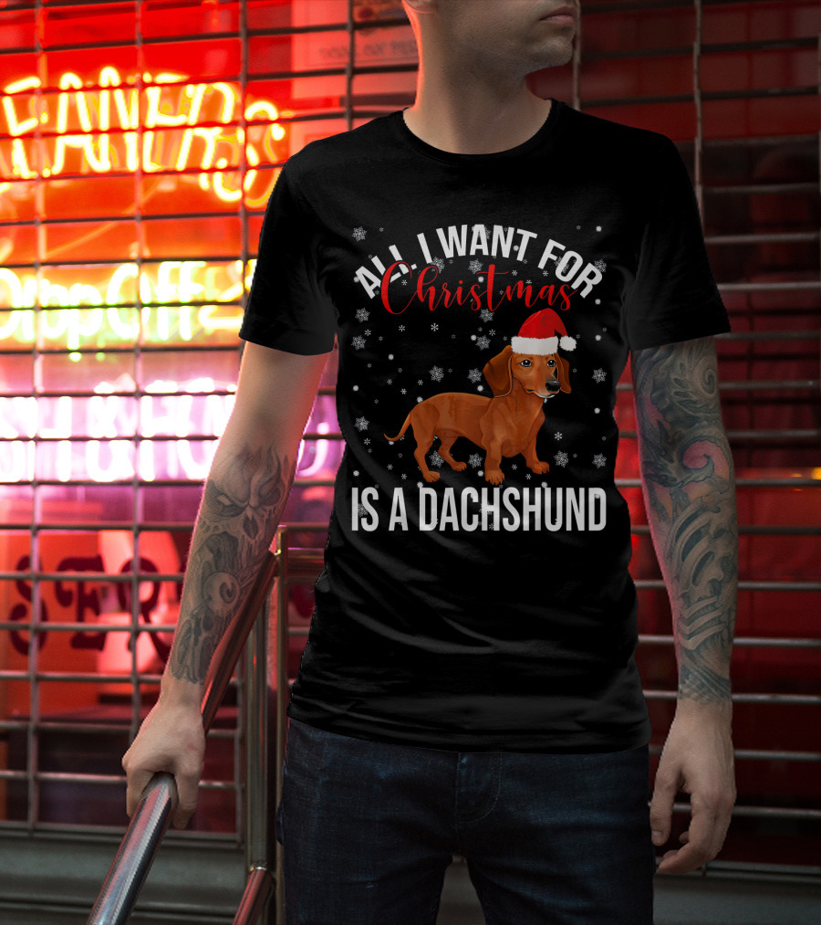 All I Want For Christmas Is A Dachshund Santa Hat Snowflakes T-Shirt