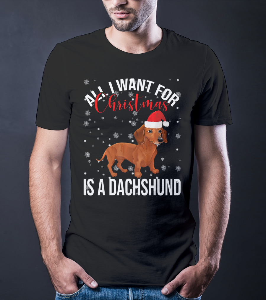 All I Want For Christmas Is A Dachshund Santa Hat Snowflakes T-Shirt