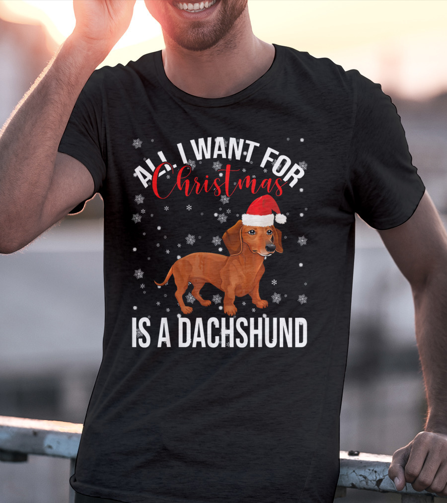 All I Want For Christmas Is A Dachshund Santa Hat Snowflakes T-Shirt