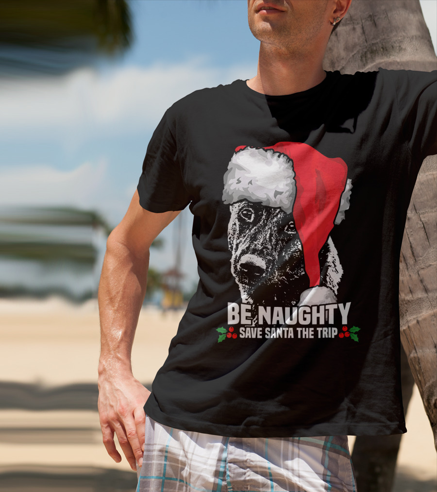 Be Naughty Save Santa The Trip Dutch Shepherd Christmas Santa Hat T-Shirt