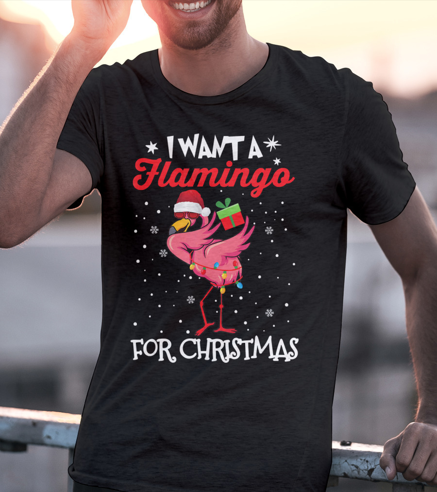 I Want A Flamingo For Christmas Santa Hat Lights Snowflakes Gift Box T-Shirt