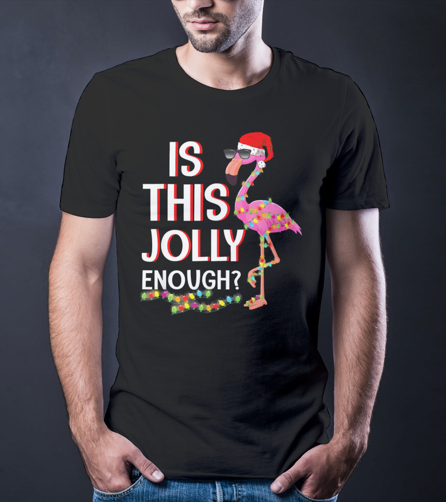 Is This Jolly Enough Flamingo Christmas Lights Santa Hat Sunglasses T-Shirt