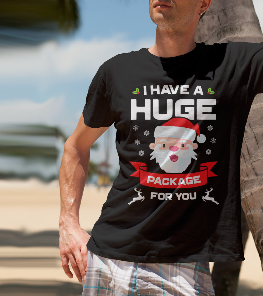I Have A Huge Package For You Santa Snowflakes Reindeer Christmas T-Shirt