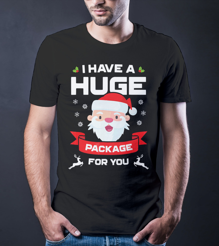 I Have A Huge Package For You Santa Snowflakes Reindeer Christmas T-Shirt