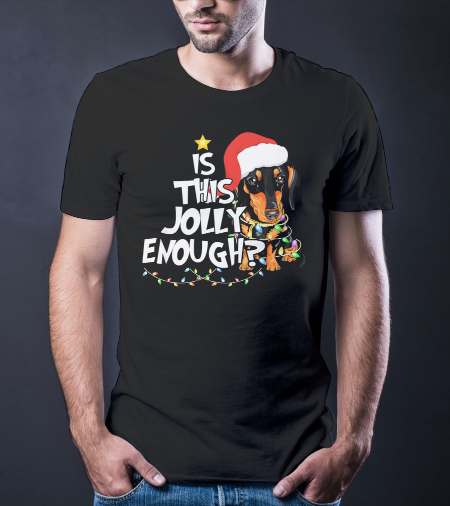 Is This Jolly Enough Christmas Dachshund With Santa Hat And Lights T-Shirt