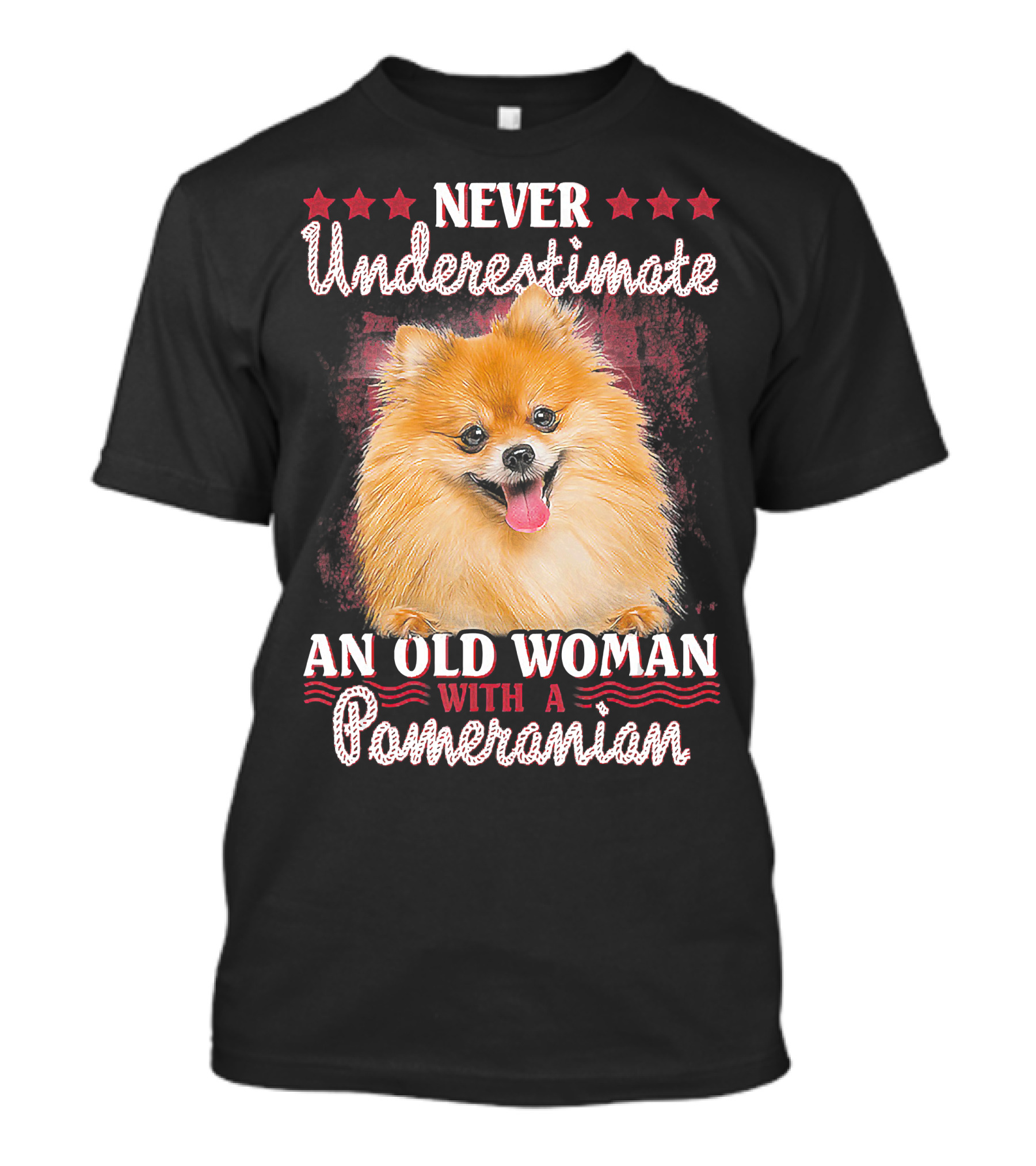 NEVER UNDERESTIMATE AN OLD WOMAN WITH A POMERANIAN T-Shirt