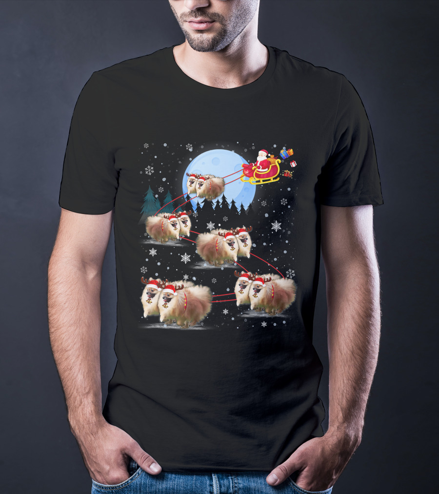 Pomeranian Reindeer Santa Sleigh Christmas Under Moonlight T-Shirt