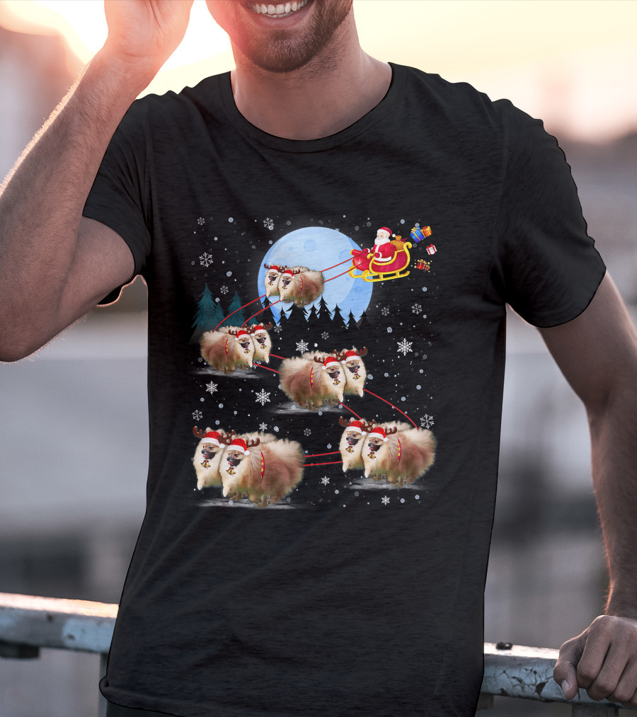 Pomeranian Reindeer Santa Sleigh Christmas Under Moonlight T-Shirt