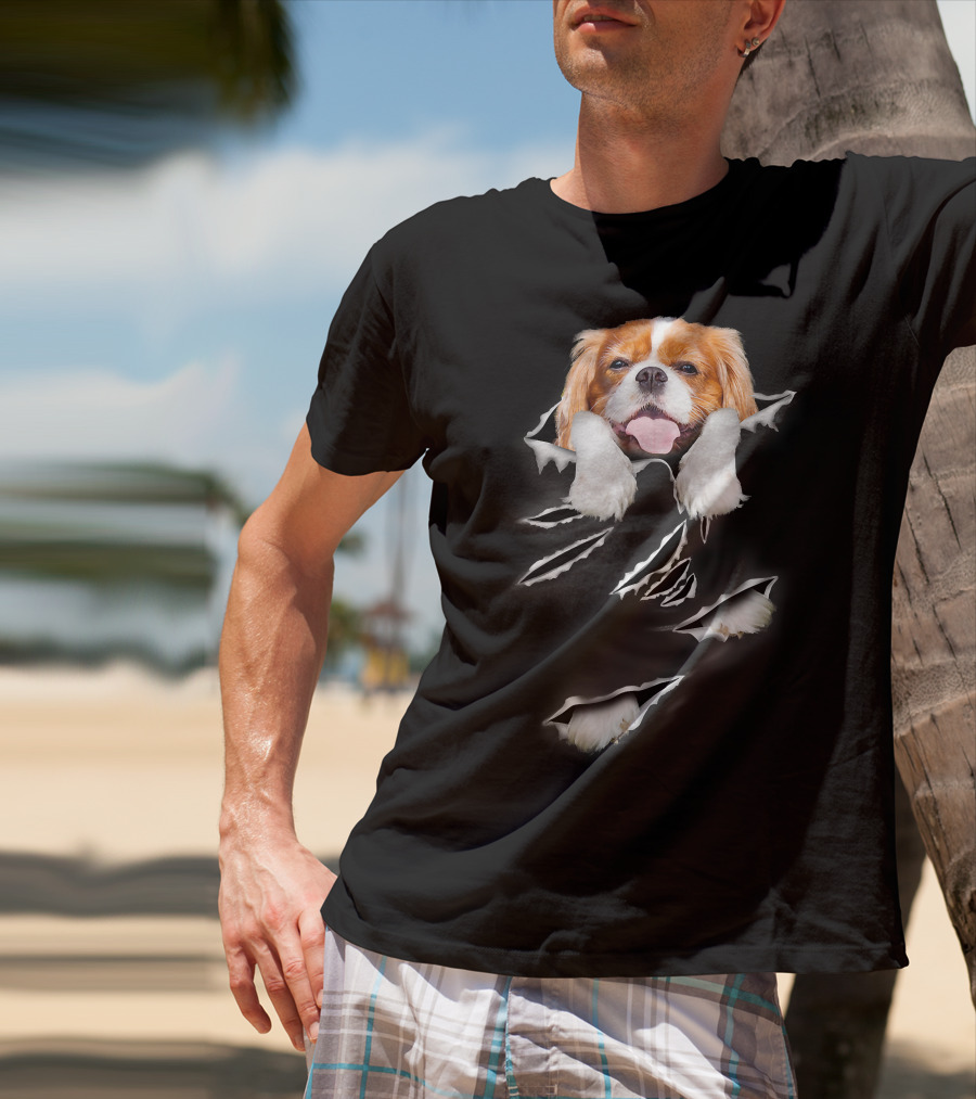 Cavalier King Charles Spaniel Scratch Torn Paws And Face Peeking Through T-Shirt
