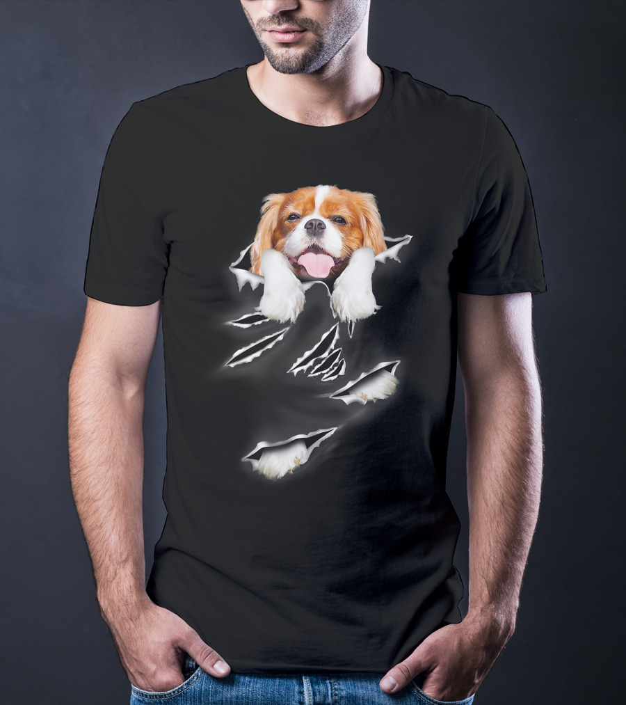 Cavalier King Charles Spaniel Scratch Torn Paws And Face Peeking Through T-Shirt