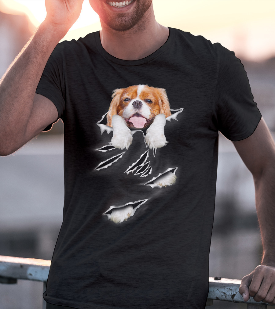 Cavalier King Charles Spaniel Scratch Torn Paws And Face Peeking Through T-Shirt