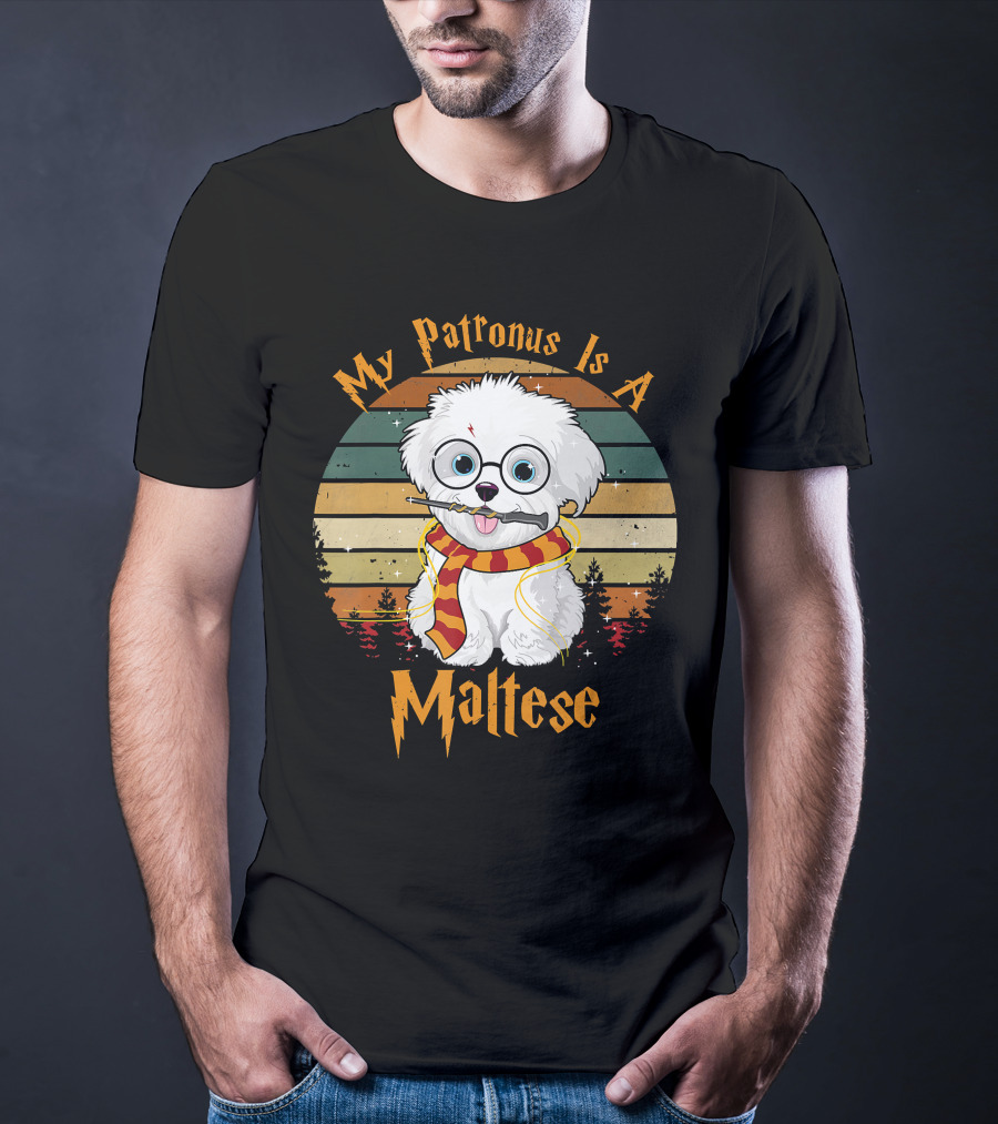 My Patronus Is A Maltese Dog With Wizard Glasses And Scarf In Colorful Circle T-Shirt